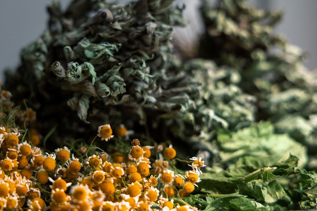 Dried botanicals and green herbs for Ayurveda Health Mart wellness