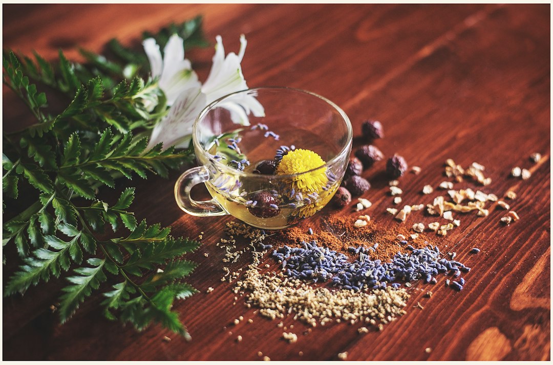 Herbal tea and botanicals for a modern wellness routine