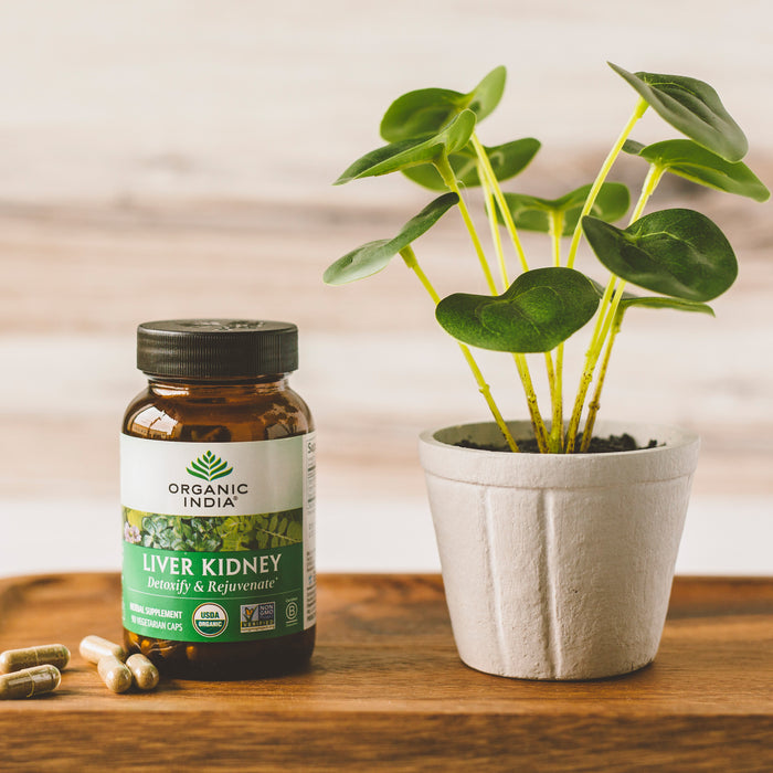 Organic India Liver Kidney lifestyle product visual