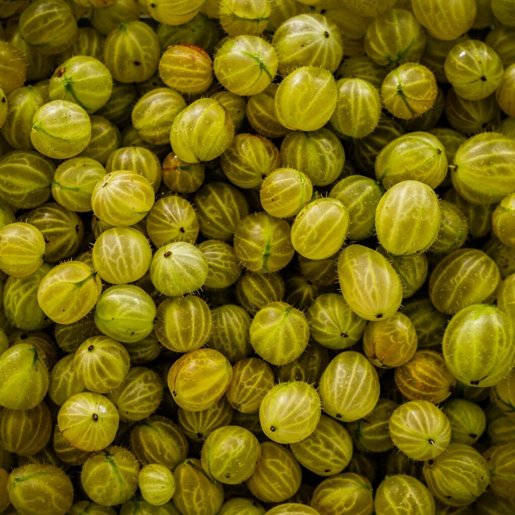 Gooseberries used as a visual for Amla wellness education