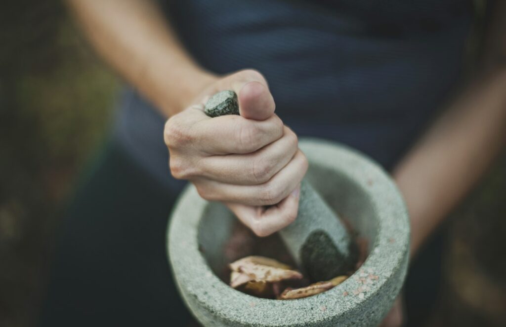 Herbal ingredients and a mortar and pestle illustrating traditional botanical preparations